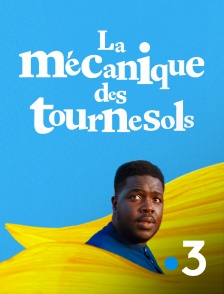 France 3 - La mécanique des tournesols