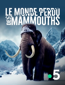 France 5 - Le monde perdu des mammouths