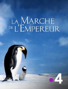 France 4 - La marche de l'empereur