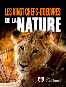 Love the Planet - Les vingt chefs-d'œuvre de la nature