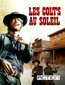 Action - Les colts au soleil