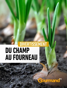 Gourmand TV - Du champ au fourneau