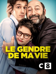 C8 - Le gendre de ma vie