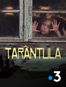 France 3 - Tarantula