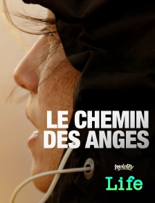 Molotov Channels Life - Le chemin des anges