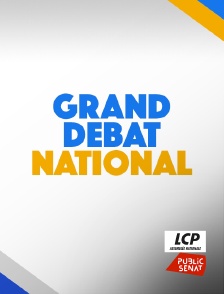 LCP Public Sénat - Grand débat national