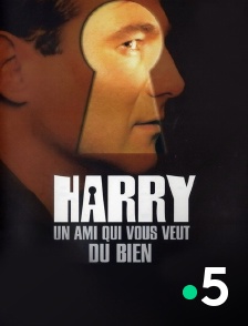 France 5 - Harry, un ami qui vous veut du bien