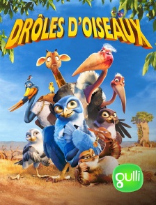 Gulli - Drôles d'oiseaux