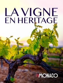 TV Monaco - La Vigne en héritage