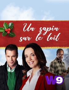 W9 - Un sapin sur le toit