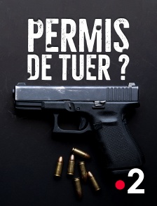 France 2 - Permis de tuer