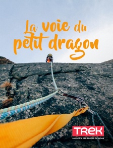 Trek - La voie du petit dragon