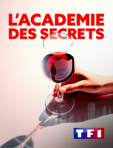 TF1 - L'académie des secrets