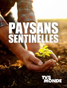 TV5MONDE - Paysans sentinelles