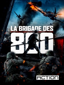 Action - La brigade des 800