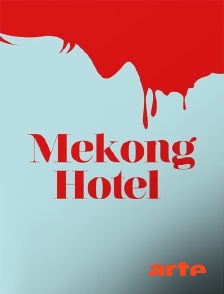 Arte - Mekong Hotel