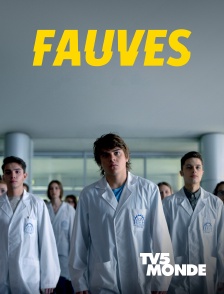 TV5MONDE - Fauves