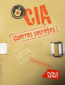 Public Sénat - CIA : guerres secrètes