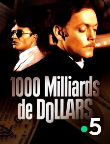 France 5 - Mille milliards de dollars