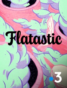 France 3 - Flatastic