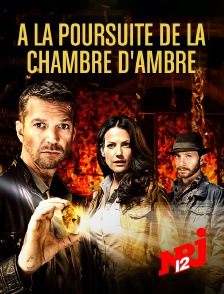 NRJ 12 - A la poursuite de la chambre d'ambre