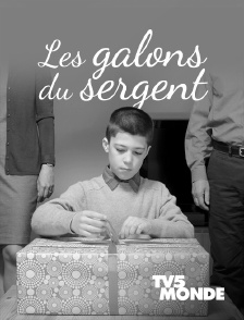 TV5MONDE - Les galons du sergent