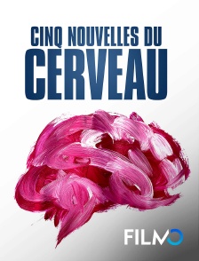 FilmoTV - Cinq nouvelles du cerveau