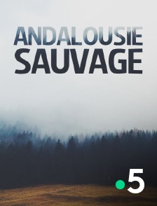 France 5 - Andalousie sauvage