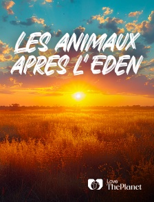 Love the Planet - Les animaux après l'Eden