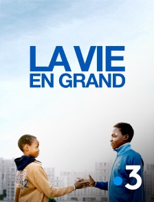 France 3 - La vie en grand