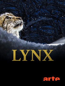 Arte - Lynx