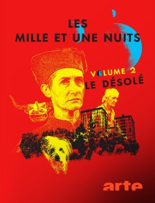 Arte - Les mille et une nuits, volume 2 : le désolé