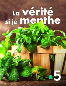 France 5 - La vérité si je menthe