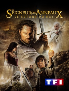 TF1 - Le seigneur des anneaux : le retour du roi