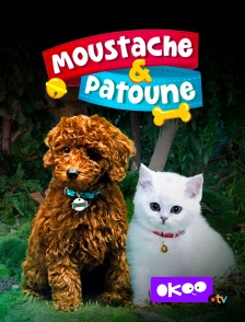 Okoo - Moustache & Patoune en replay