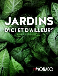 TV Monaco - Jardins d'ici et d'ailleurs