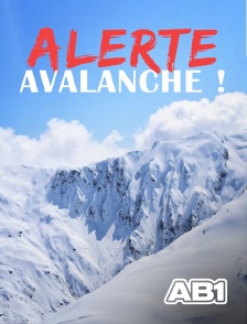 AB 1 - Alerte avalanche !