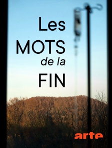 Arte - Les mots de la fin