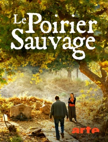 Arte - Le poirier sauvage