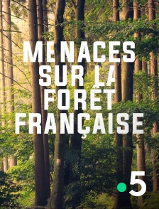 France 5 - Menaces sur la forêt française