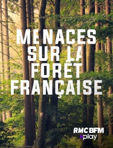 RMC BFM Play - Menaces sur la forêt française