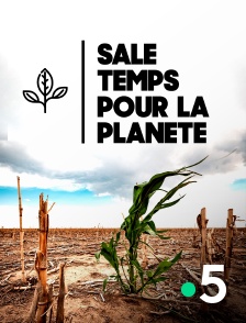 France 5 - Sale temps pour la planète