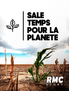 RMC Story - Sale temps pour la planète