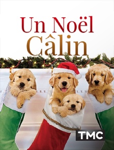 TMC - Un Noël câlin