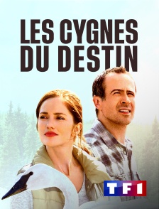 TF1 - Les cygnes du destin