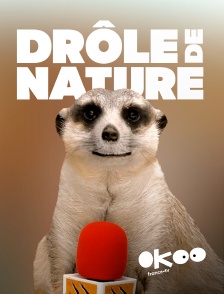 Okoo - Drôle de nature en replay