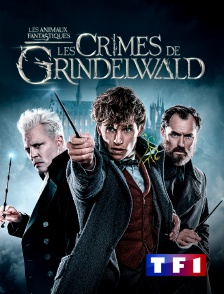 TF1 - Les animaux fantastiques : les crimes de Grindelwald