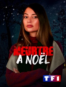 TF1 - Meurtre à Noël