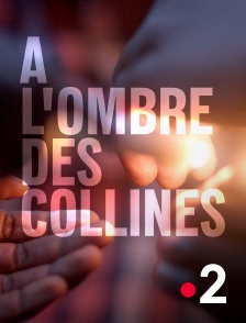 France 2 - A l'ombre des collines