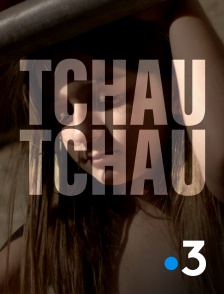 France 3 - Tchau tchau